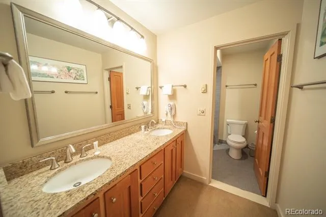 392 Wild Irishman Road #1910 Dillon, CO 80435
