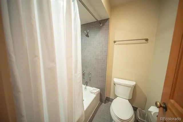 392 Wild Irishman Road #1910 Dillon, CO 80435