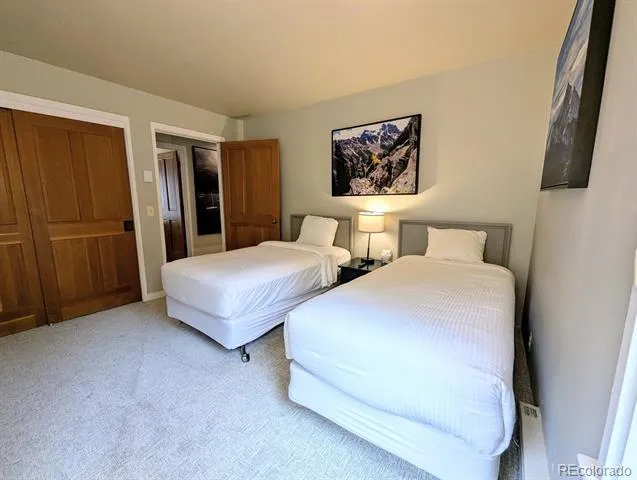 392 Wild Irishman Road #1910 Dillon, CO 80435