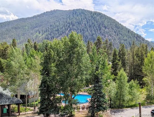 392 Wild Irishman Road #1910 Dillon, CO 80435