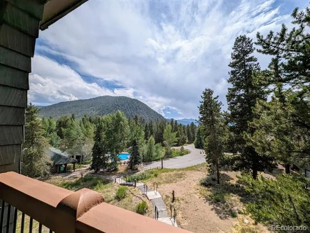 392 Wild Irishman Road #1910 Dillon, CO 80435