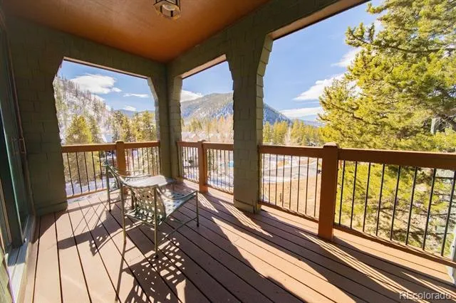 392 Wild Irishman Road #1910 Dillon, CO 80435
