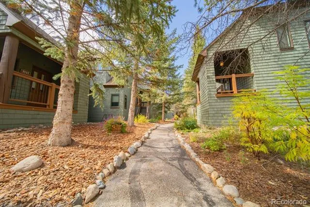 392 Wild Irishman Road #1910 Dillon, CO 80435