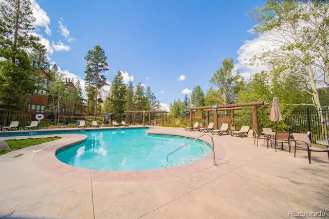 392 Wild Irishman Road #1910 Dillon, CO 80435