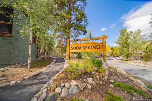 392 Wild Irishman Road #1910 Dillon, CO 80435