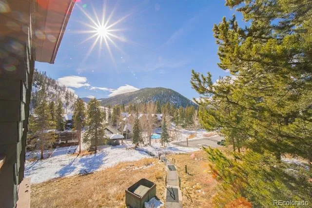 392 Wild Irishman Road #1910 Dillon, CO 80435