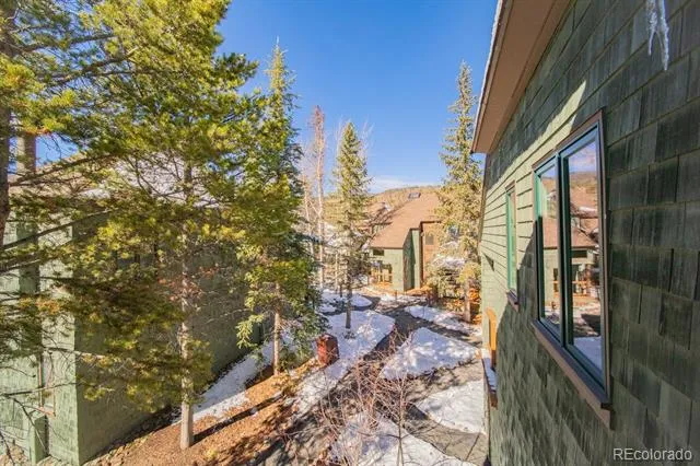 392 Wild Irishman Road #1910 Dillon, CO 80435