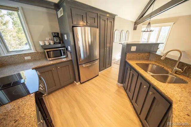 392 Wild Irishman Road #1910 Dillon, CO 80435