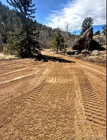 987 Eagle Rock Road Florissant, CO 80816