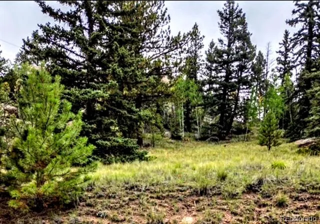 987 Eagle Rock Road Florissant, CO 80816