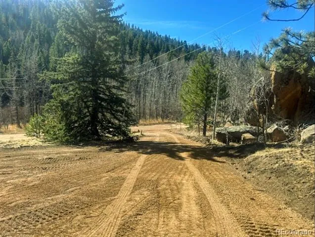 987 Eagle Rock Road Florissant, CO 80816