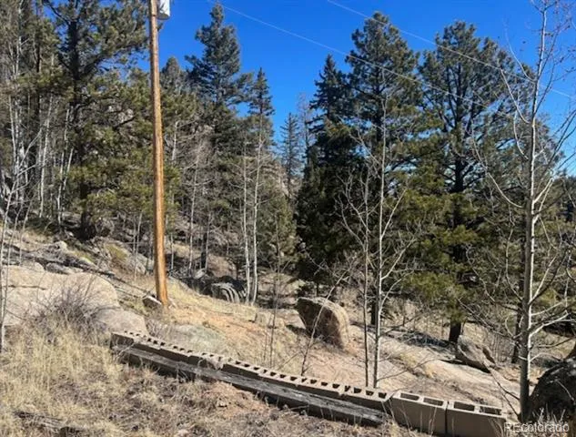 987 Eagle Rock Road Florissant, CO 80816