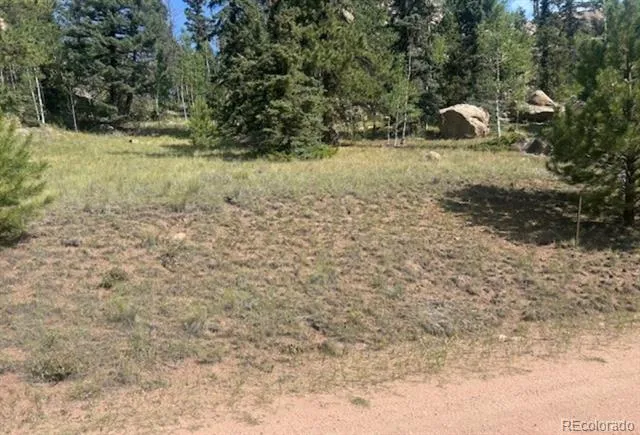 987 Eagle Rock Road Florissant, CO 80816