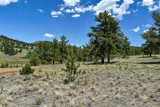 4278 County Road 71 Guffey, CO 80820