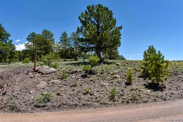 4278 County Road 71 Guffey, CO 80820