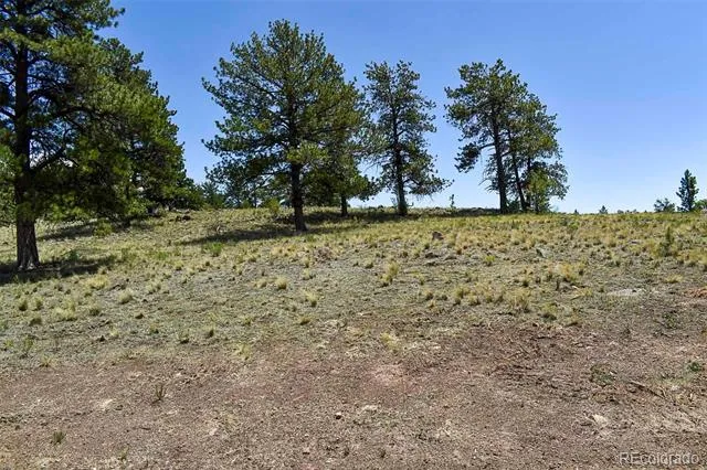 4278 County Road 71 Guffey, CO 80820