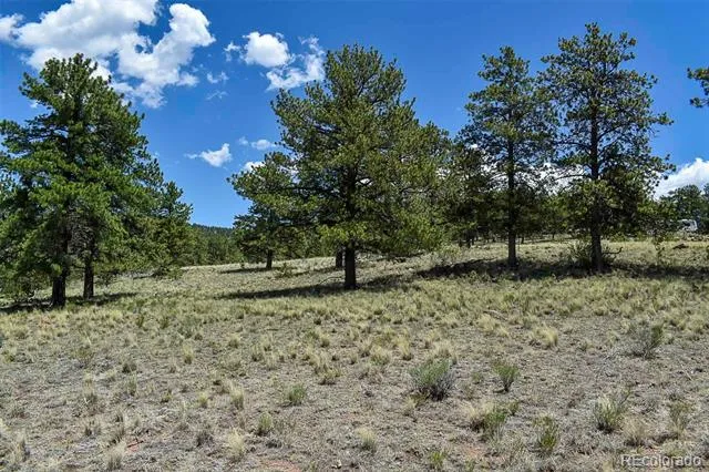 4278 County Road 71 Guffey, CO 80820