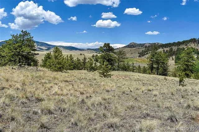 4278 County Road 71 Guffey, CO 80820