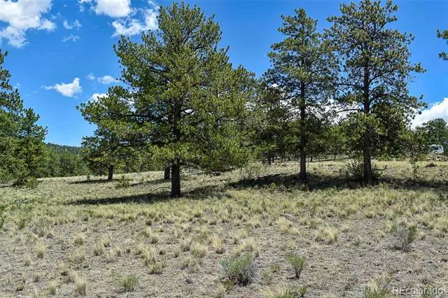 4278 County Road 71 Guffey, CO 80820