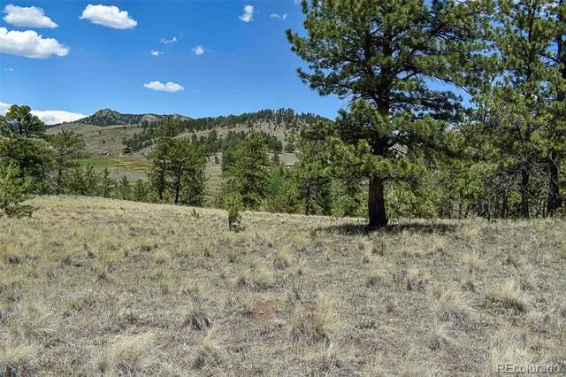 4278 County Road 71 Guffey, CO 80820
