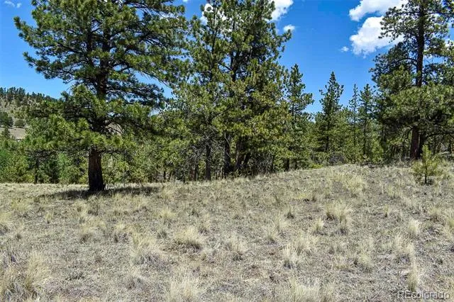 4278 County Road 71 Guffey, CO 80820