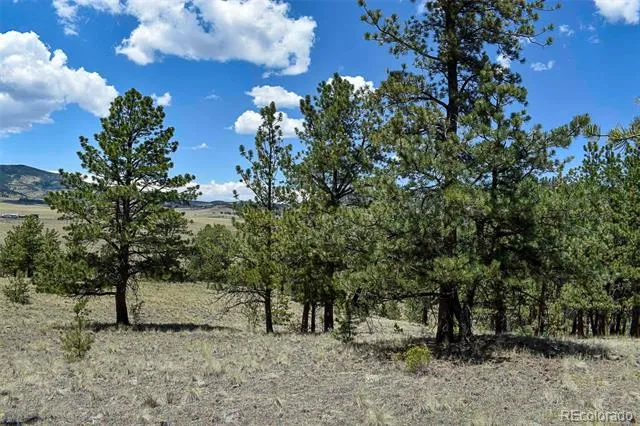 4278 County Road 71 Guffey, CO 80820