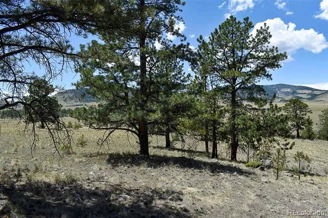 4278 County Road 71 Guffey, CO 80820