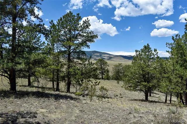 4278 County Road 71 Guffey, CO 80820