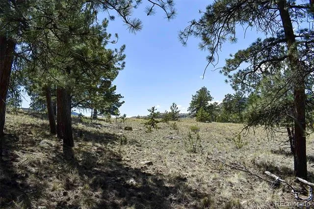4278 County Road 71 Guffey, CO 80820