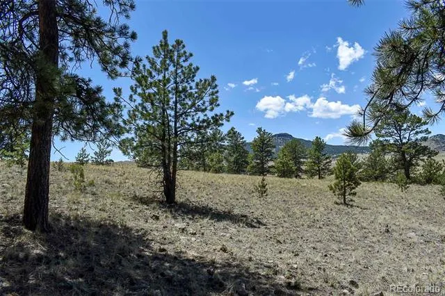 4278 County Road 71 Guffey, CO 80820
