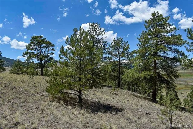 4278 County Road 71 Guffey, CO 80820