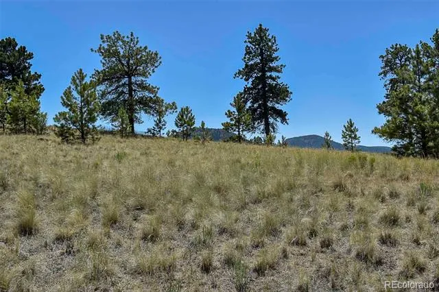 4278 County Road 71 Guffey, CO 80820