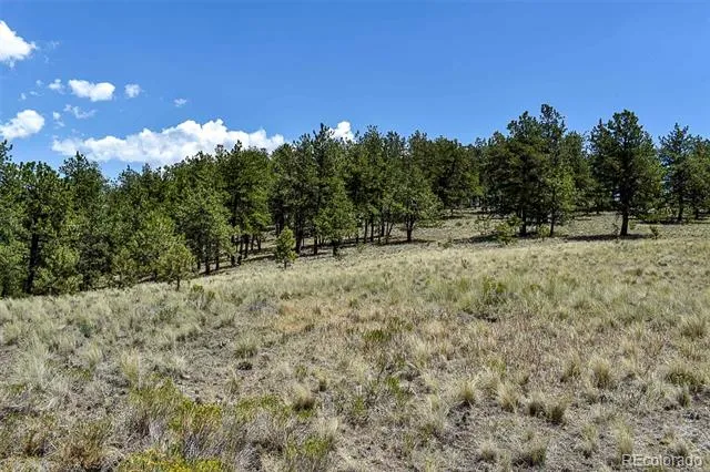 4278 County Road 71 Guffey, CO 80820