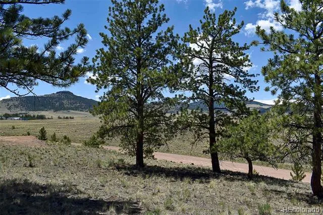 4278 County Road 71 Guffey, CO 80820
