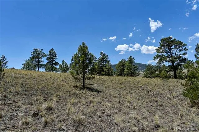 4278 County Road 71 Guffey, CO 80820