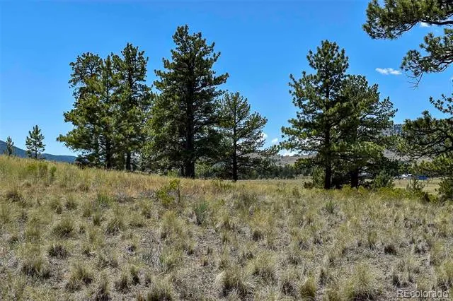 4278 County Road 71 Guffey, CO 80820