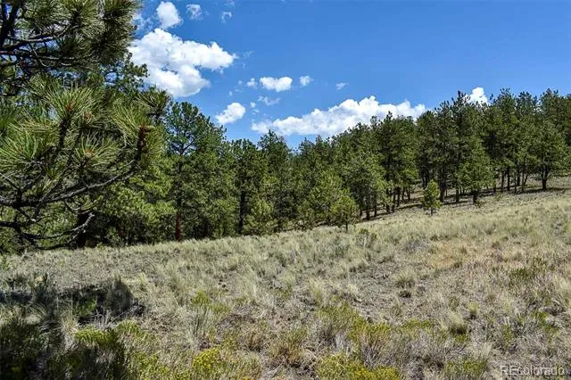 4278 County Road 71 Guffey, CO 80820