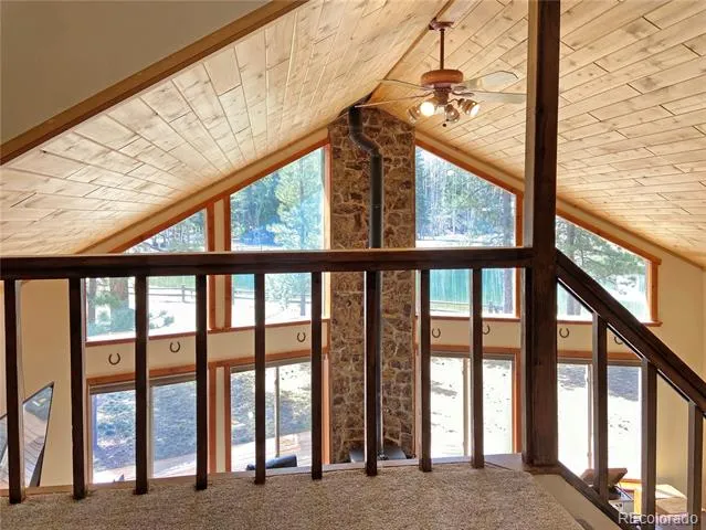 172 Elk Meadow Run Antonito, CO 81120