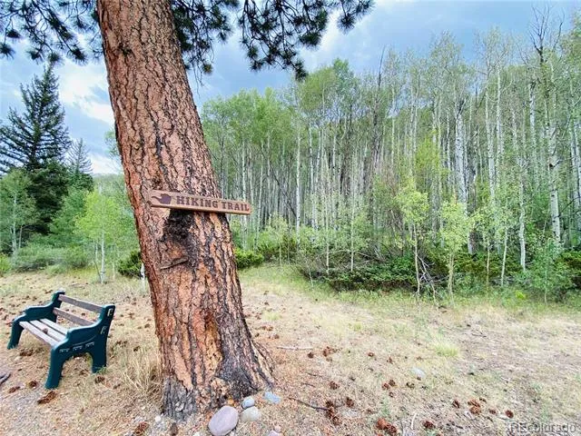 172 Elk Meadow Run Antonito, CO 81120