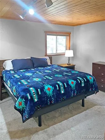 172 Elk Meadow Run Antonito, CO 81120
