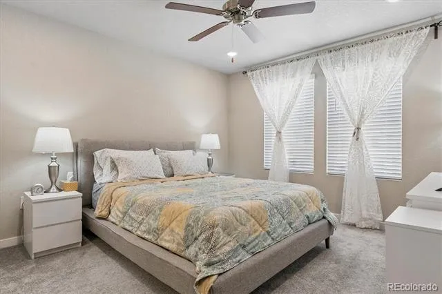 8282 Grey Bark Way Colorado Springs, CO 80908