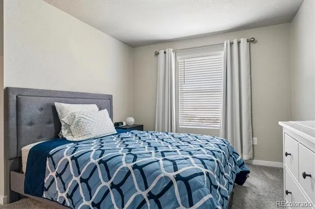 8282 Grey Bark Way Colorado Springs, CO 80908