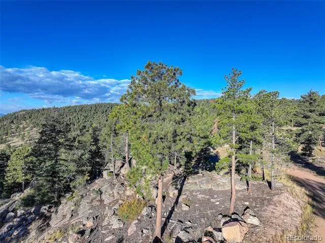 23047 Big Game Trail Conifer, CO 80433