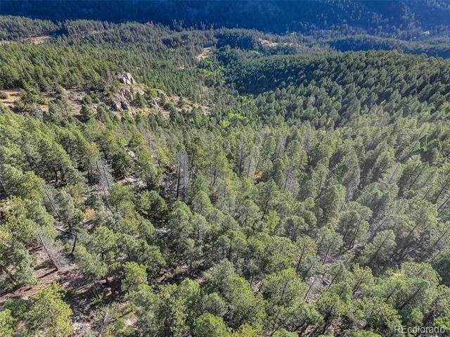 23047 Big Game Trail Conifer, CO 80433