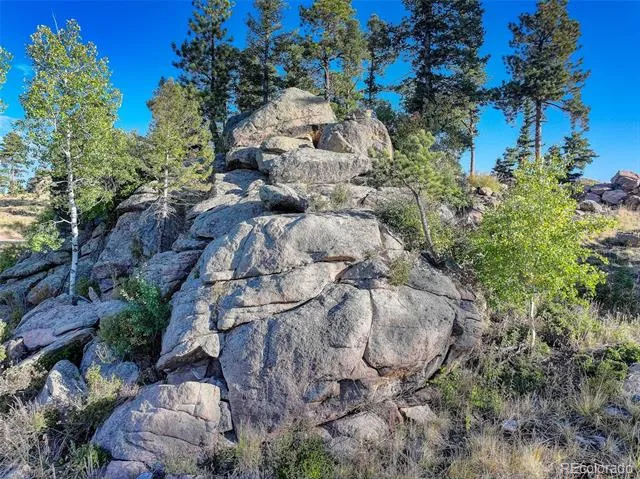 23047 Big Game Trail Conifer, CO 80433