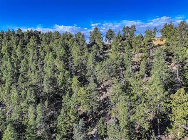 23047 Big Game Trail Conifer, CO 80433