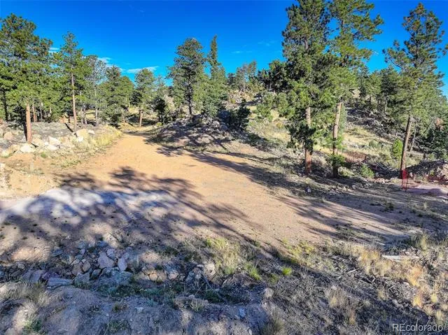 23047 Big Game Trail Conifer, CO 80433