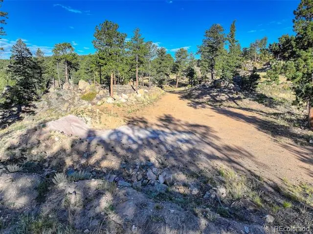 23047 Big Game Trail Conifer, CO 80433