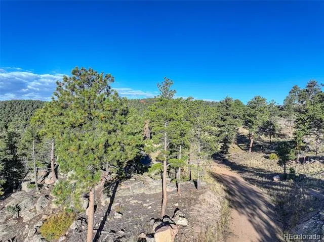 23047 Big Game Trail Conifer, CO 80433