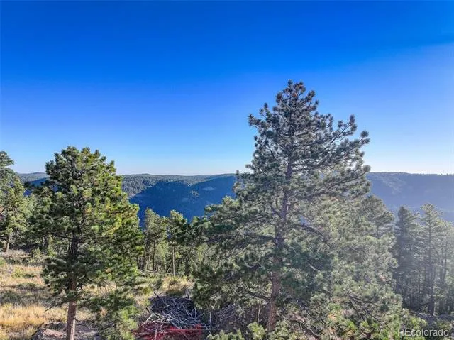 23047 Big Game Trail Conifer, CO 80433